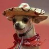 Pakitoeltronco🔻's profile picture