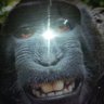 Profilbild von James