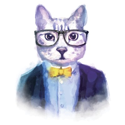 猫总's profile picture