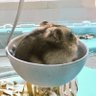 みかん🍊おかん's profile picture