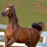 Фото профиля أستغفر الله